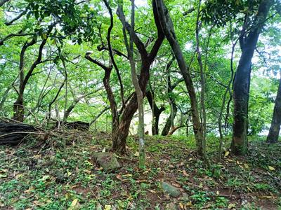 Vacant Land / Plot For Sale in Simbithi Eco Estate, Ballito